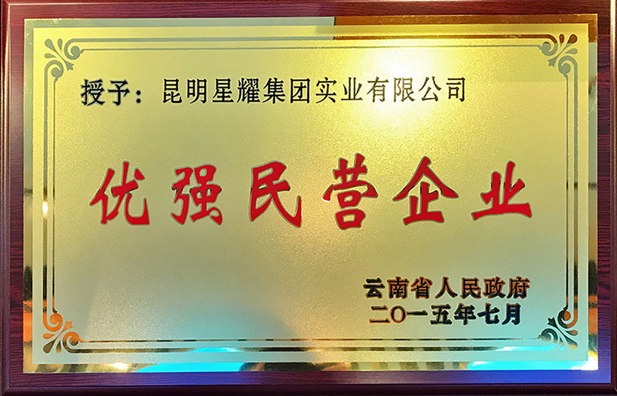 2015優(yōu)秀民營(yíng)企業(yè)